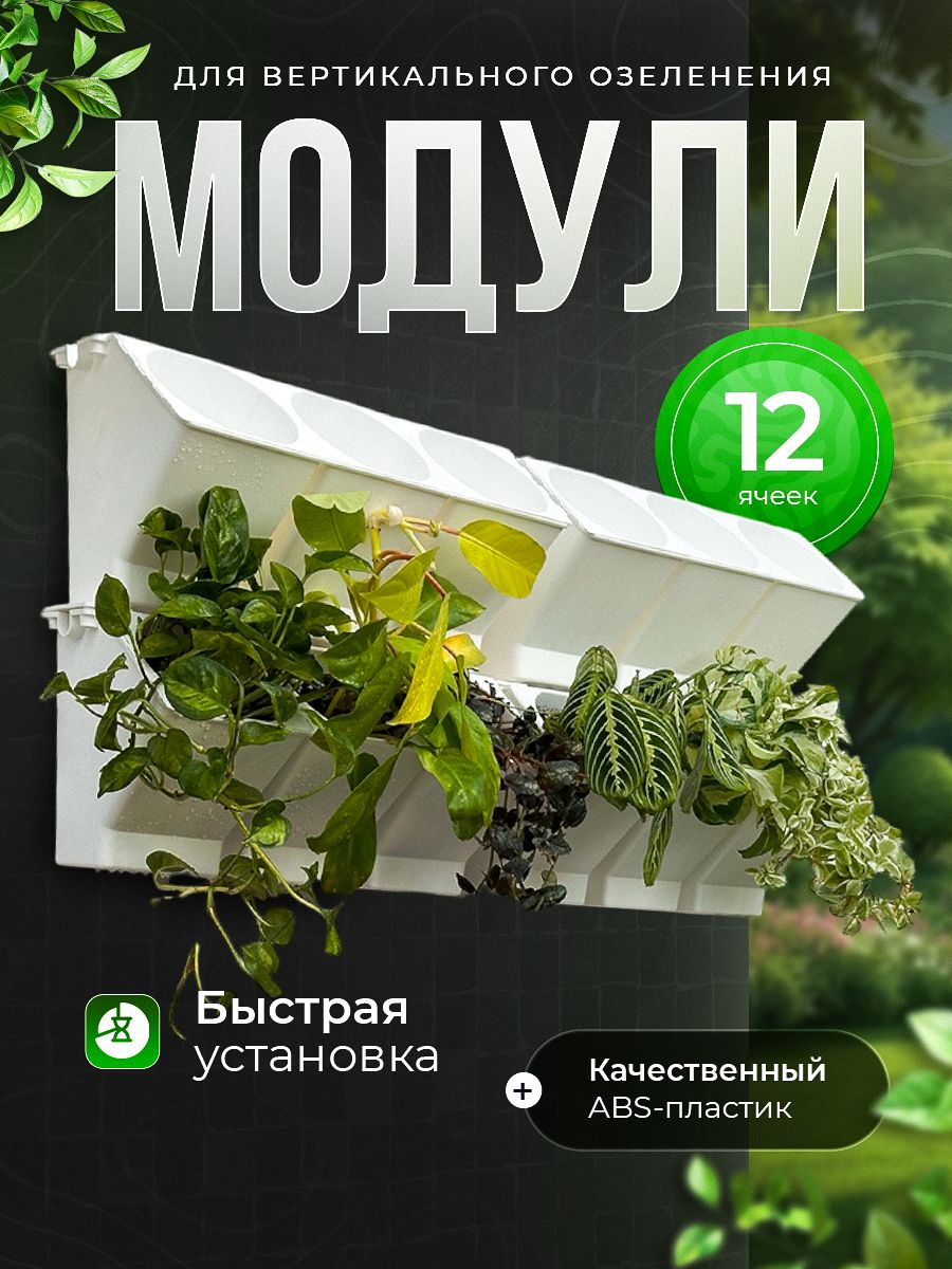 Цветология