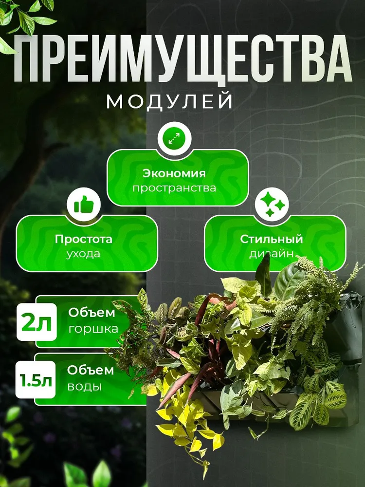 Весенние солнечные ожоги у растений: как уберечь
