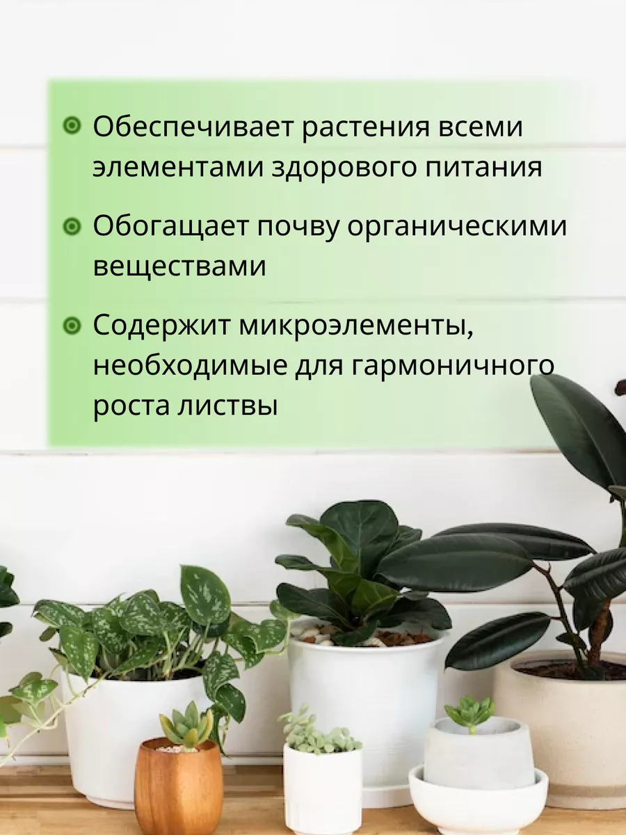 ecokon 2