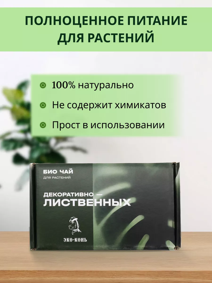 ecokon 4