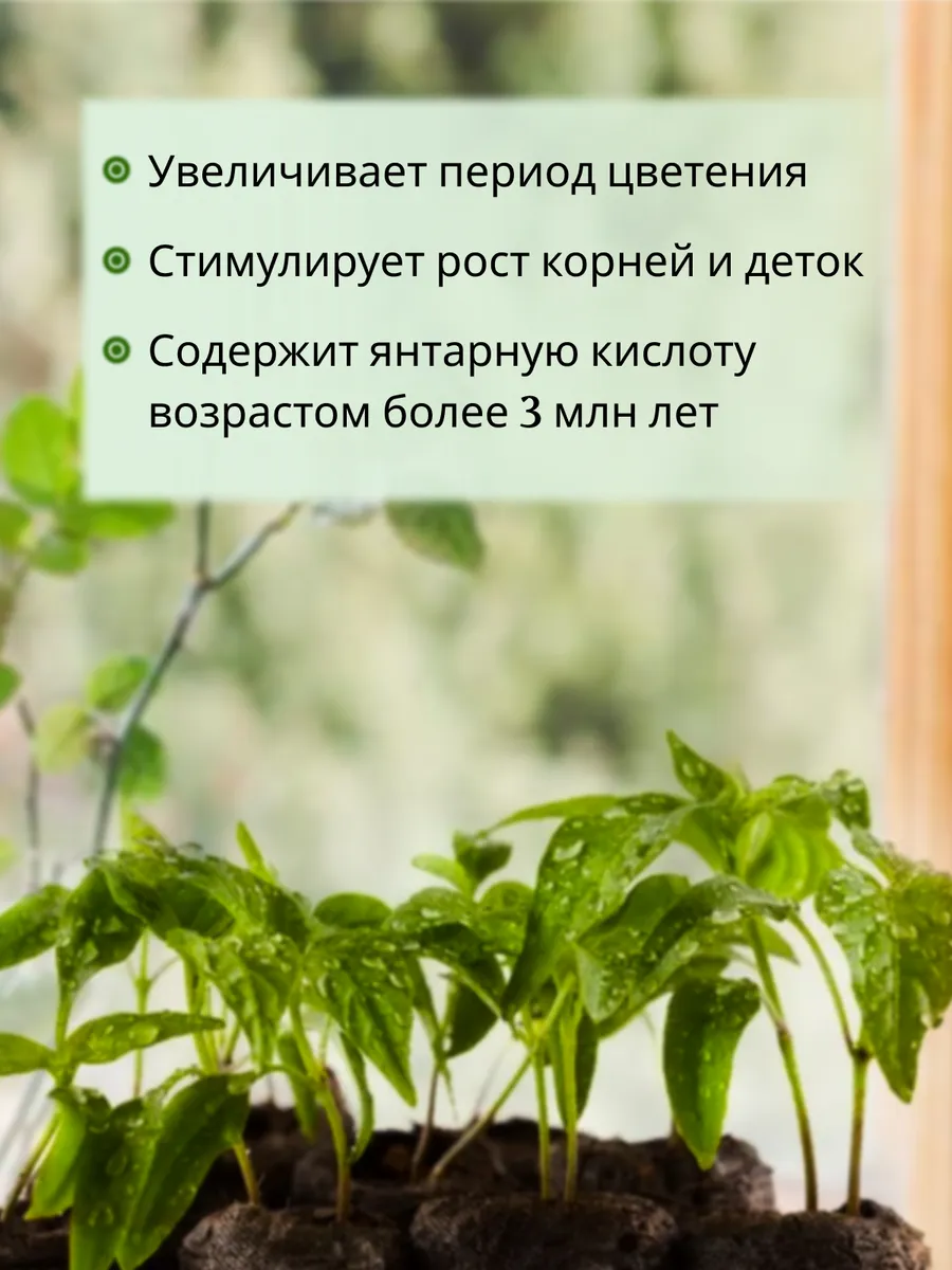 ecokon 2