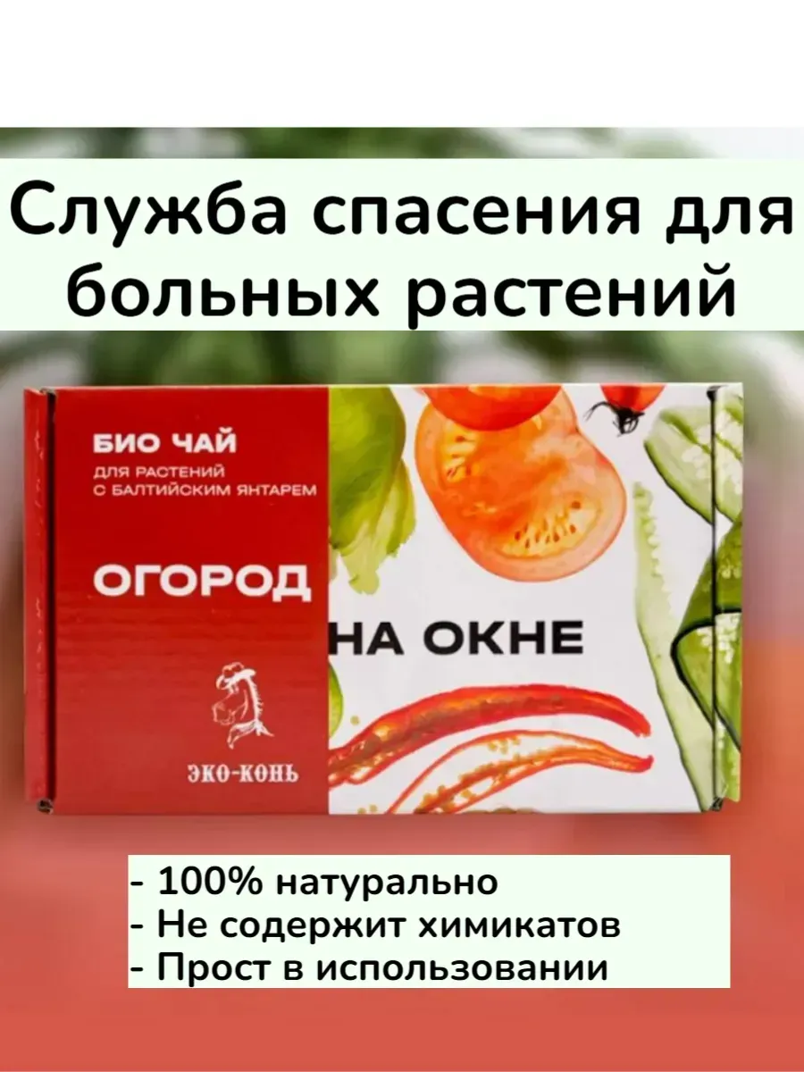ecokon 4