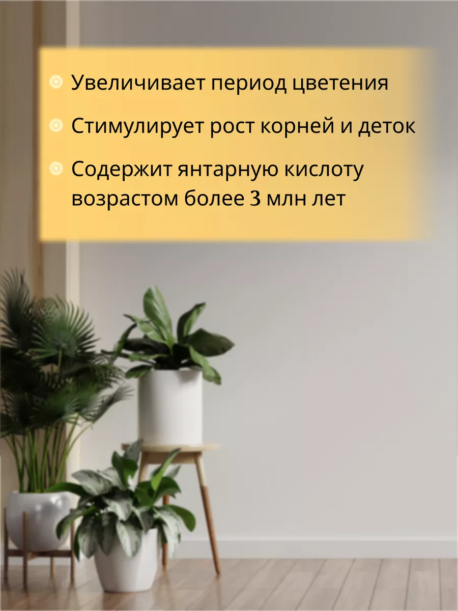 ecokon 2