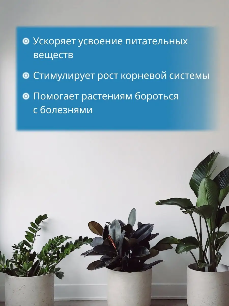 ecokon 2