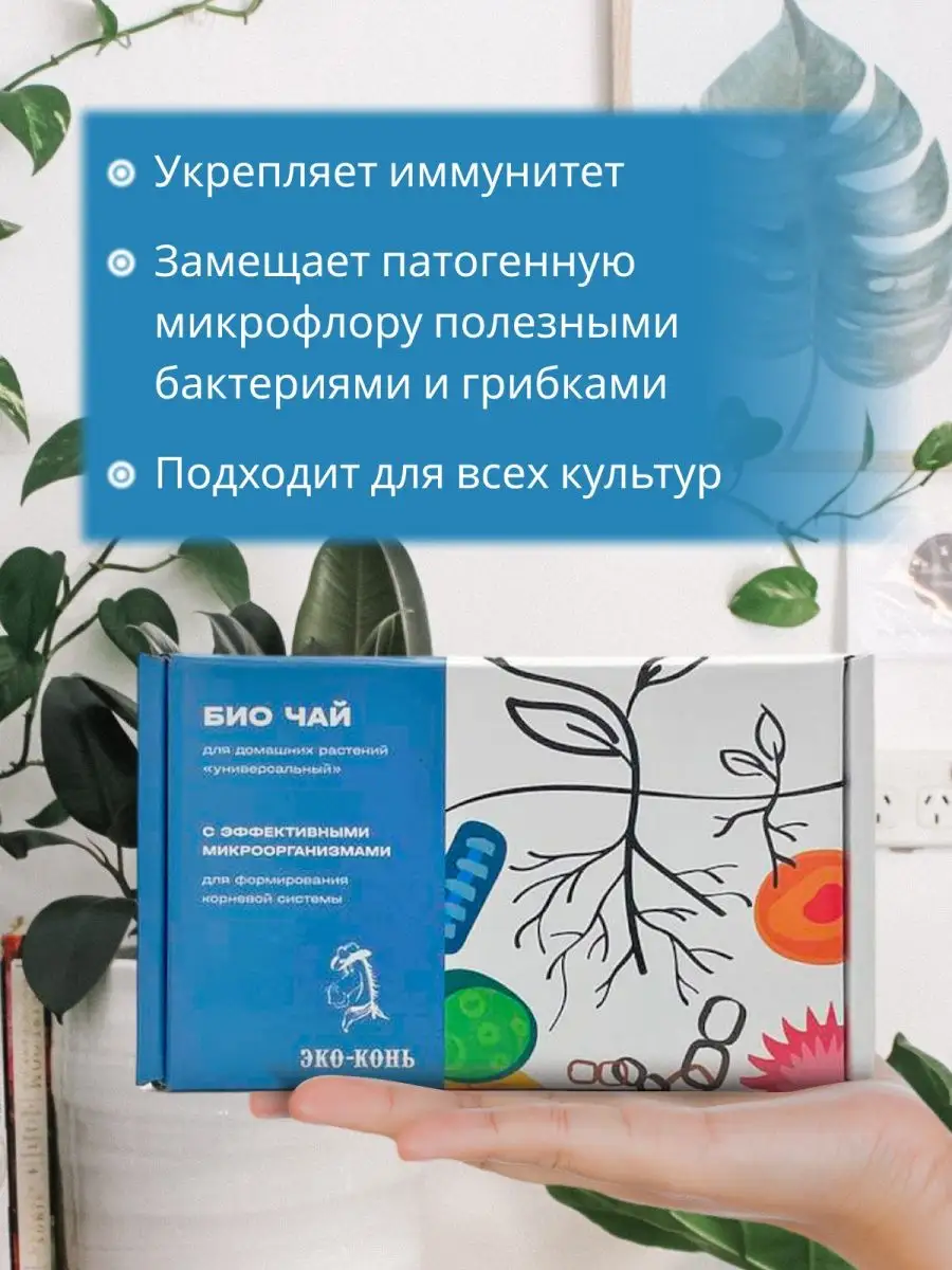 ecokon 3