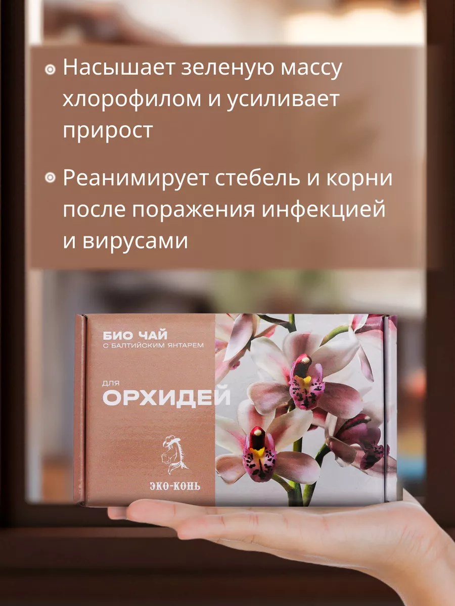 ecokon 3