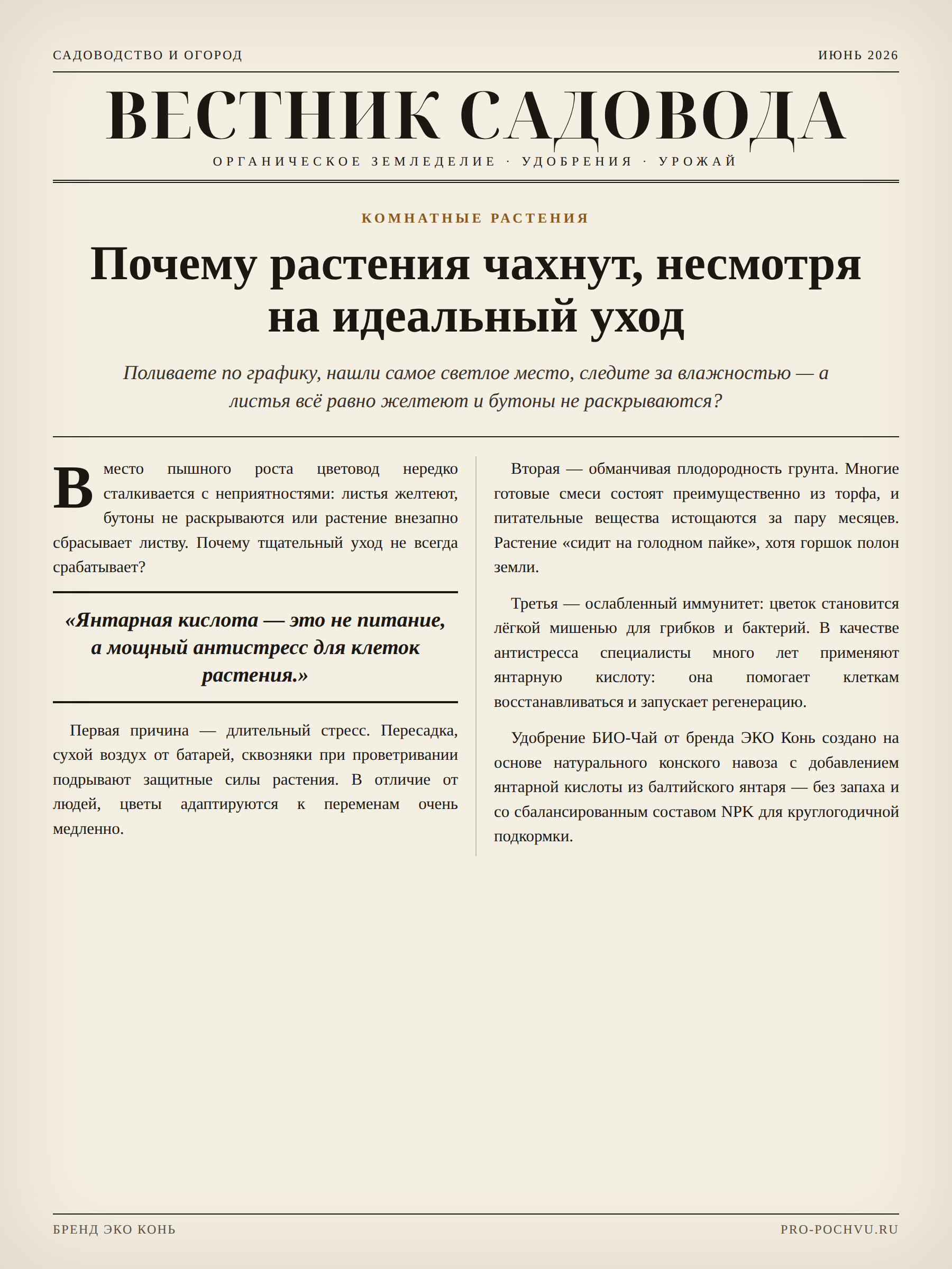 Почему растения чахнут, несмотря на идеальный уход