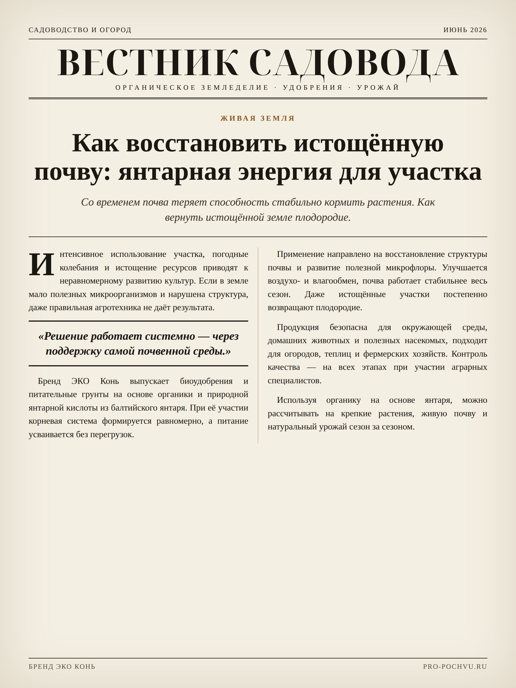 Как восстановить истощённую почву: янтарная энергия для участка